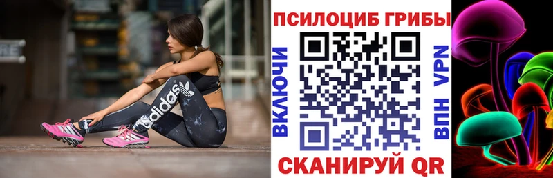 Псилоцибиновые грибы MAGIC MUSHROOMS  KRAKEN ТОР  Кандалакша 
